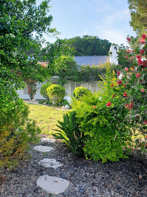 Tipps für klimaneutrale Pflanzen im Garten 2 Einheimische Pflanzen Garten