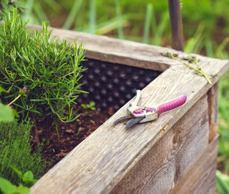 Wo liegt der Unterschied zwischen einer Gartenschere und Rosenschere?