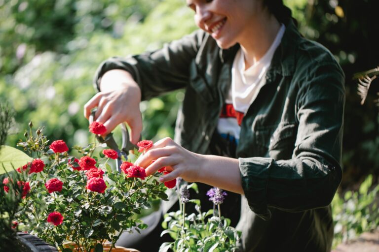 Welche Schere eignet sich zum Rosenschneiden?