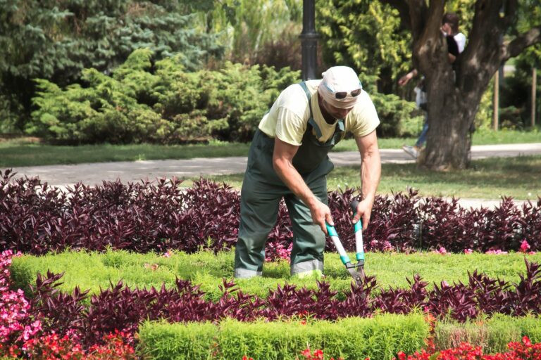 Welche Gartenschere benutzen professionelle Gärtner?