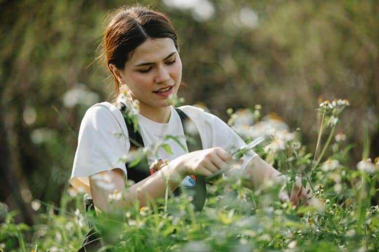 Löwe Gartenschere Test bzw. Vergleich – die 4 besten Produkte!